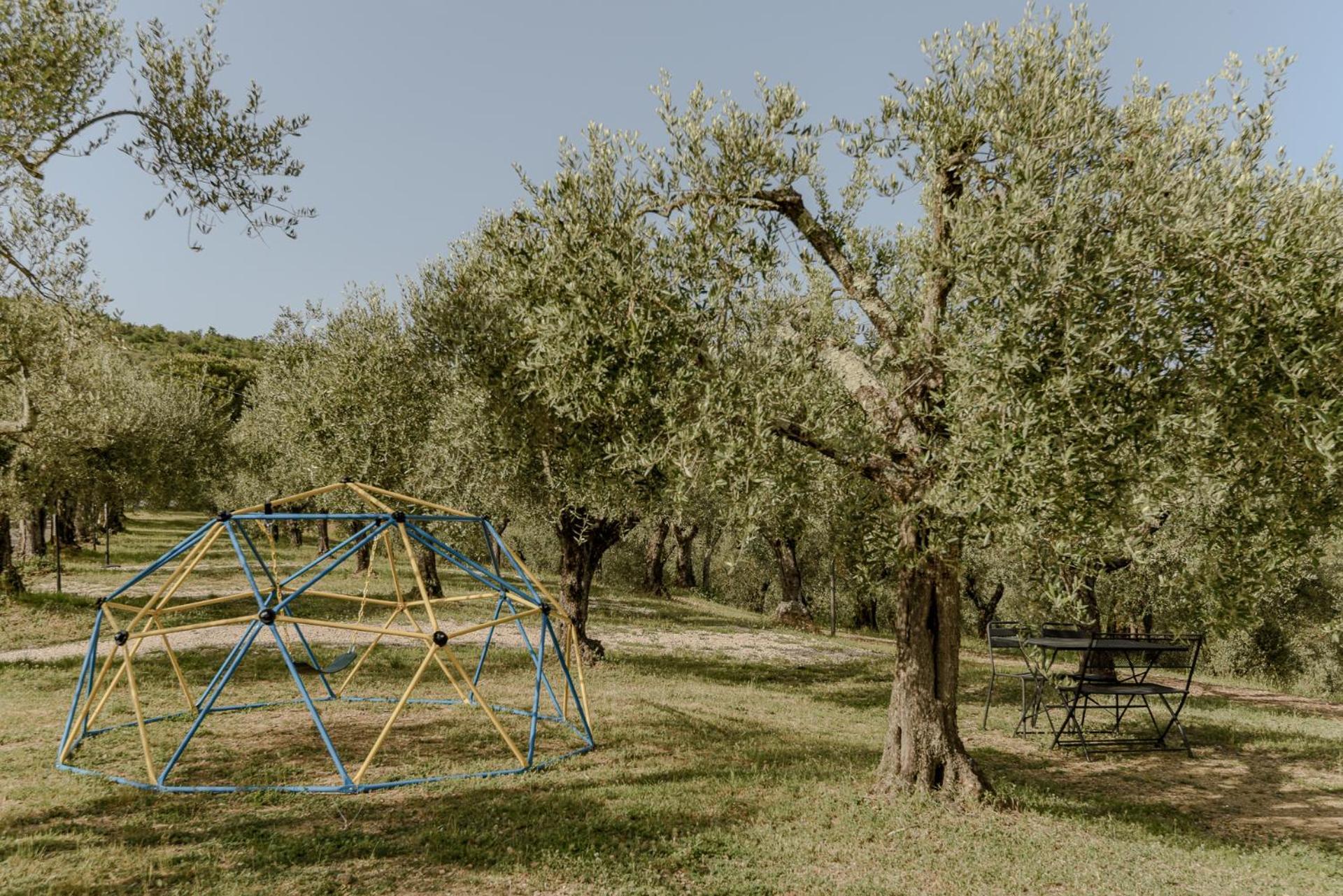 Agriturismo Il Mulino Delle Canutole Маджоне Екстериор снимка