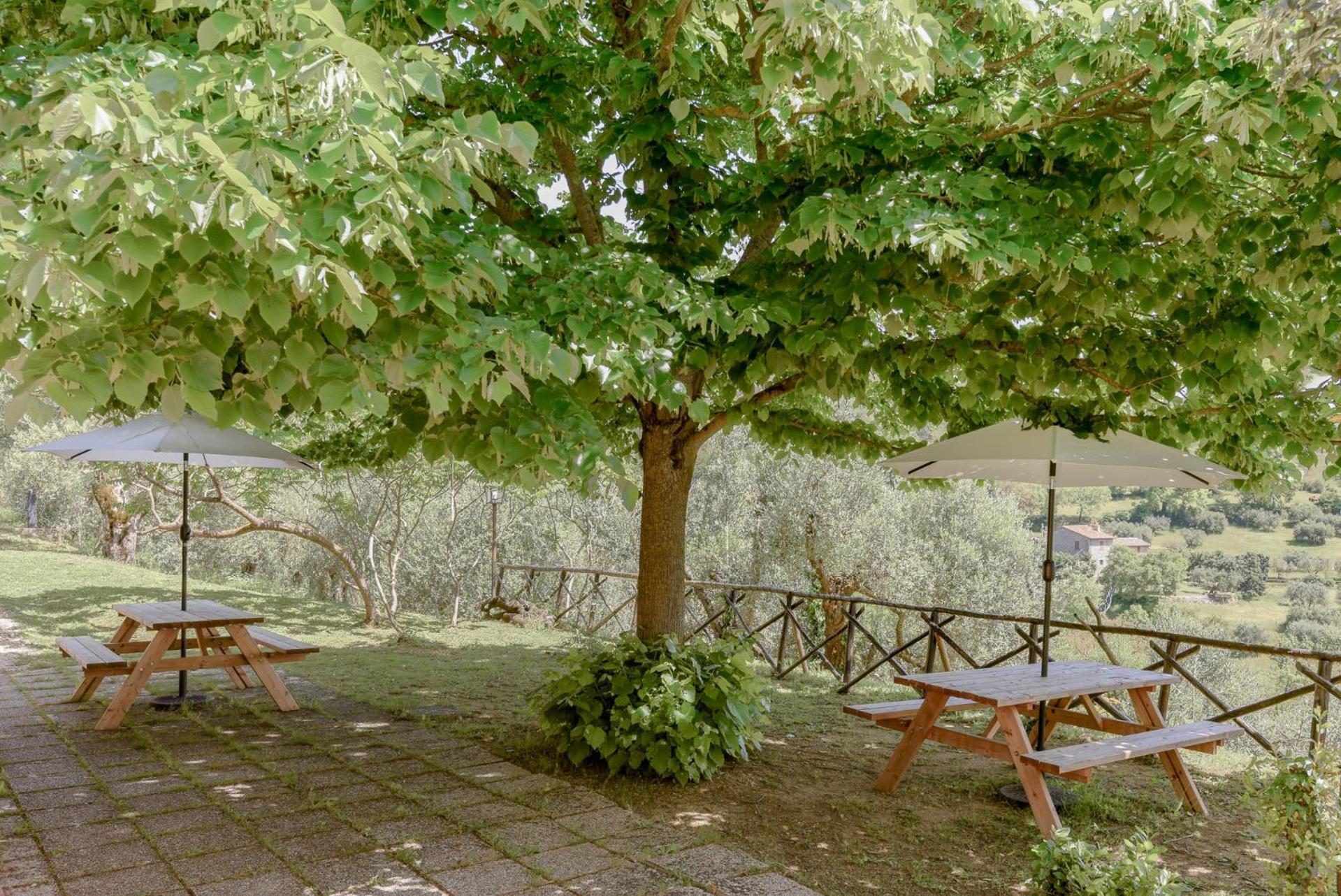 Agriturismo Il Mulino Delle Canutole Маджоне Екстериор снимка