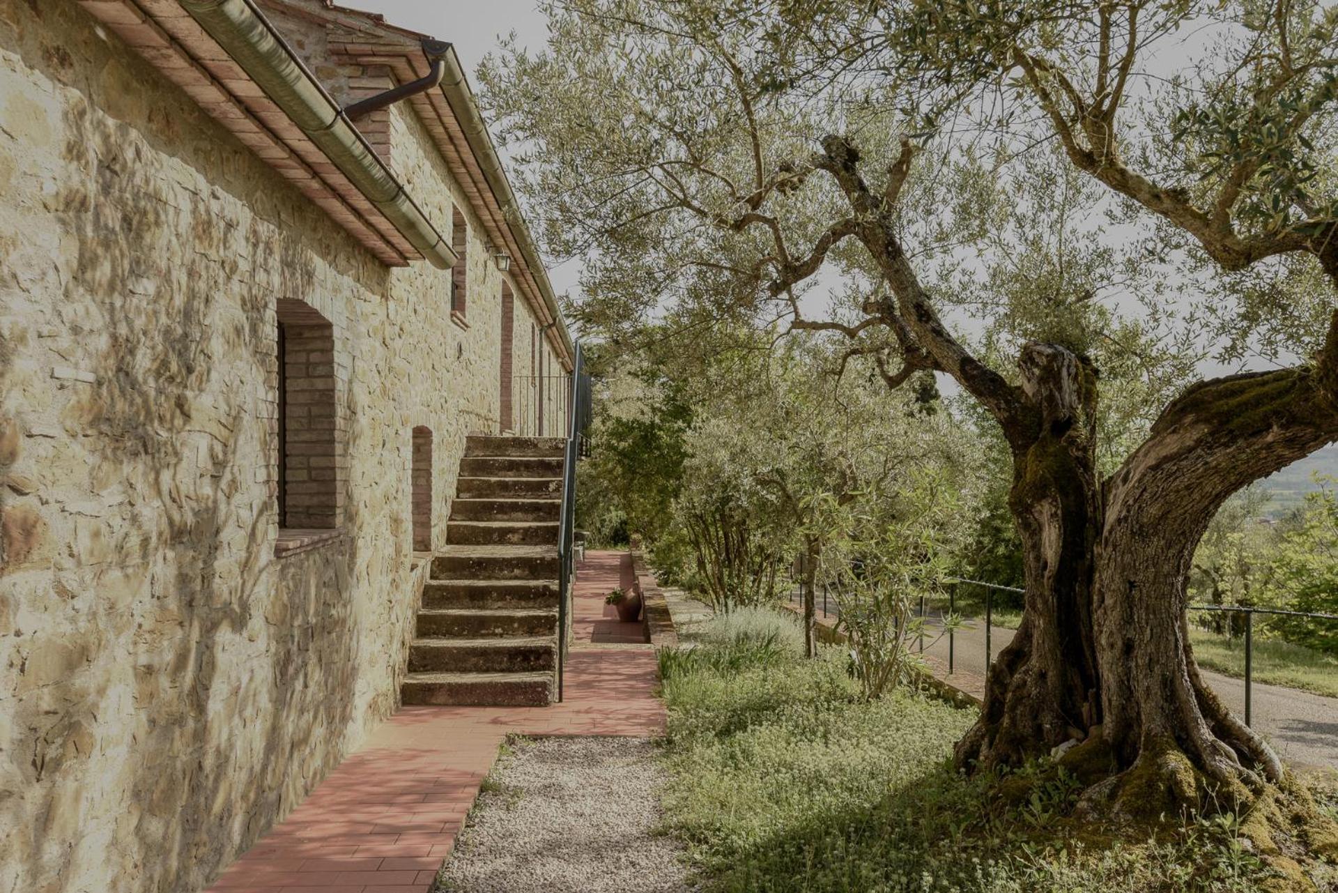 Agriturismo Il Mulino Delle Canutole Маджоне Екстериор снимка